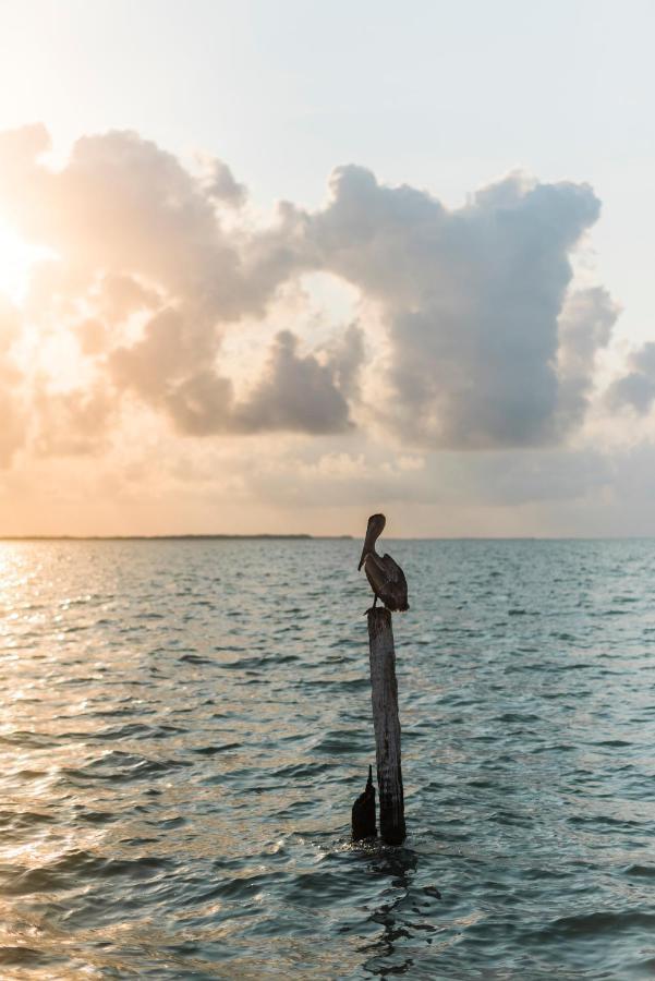 Slickrock Belize Adventures Glovers Reef ภายนอก รูปภาพ
